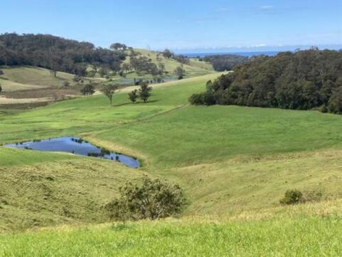 a green field with two ponds in the middle at Central Tilba Overnight Retreat ! King Bed, Ensuite, Pet-Friendly in Central Tilba