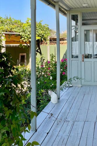 a white cat sitting on the porch of a house at Casa din Port in Jurilovca