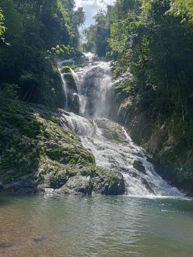a waterfall in the middle of a river at Khaosok Jungle Hostel Branch 2 in Khao Sok
