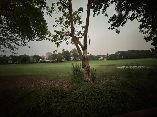 a tree in the middle of a green field at Mor Pur - Royal Golf Course Stay in Manesar