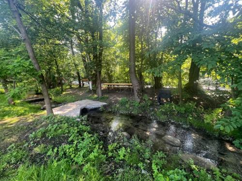 a park with a bench and a stream at Casa Izvorul Rece in Hobiţa