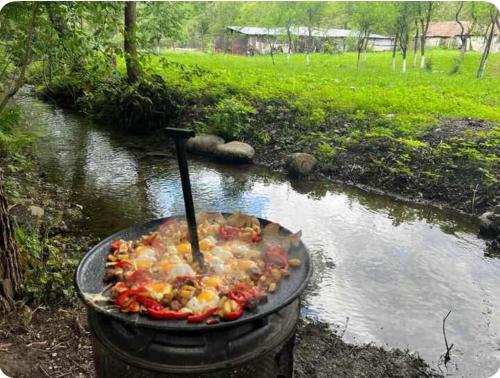 a grill with food in it next to a body of water at Casa Izvorul Rece in Hobiţa