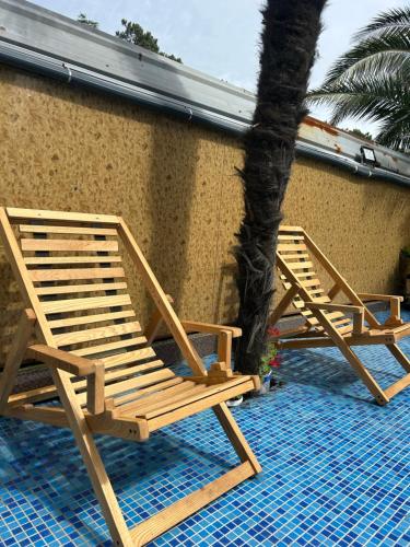 two wooden chairs sitting next to a palm tree at Hotel George in Ureki