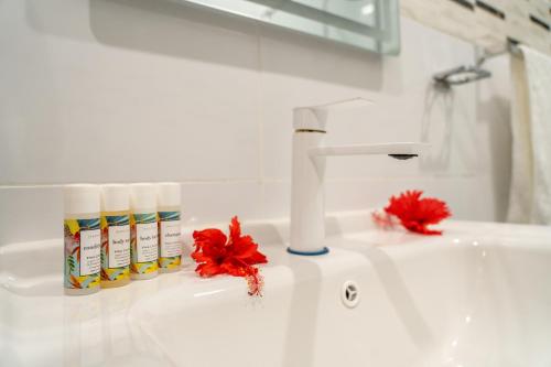 a bathroom sink with two bottles of soap and red flowers at Airport Ace Villas in Nadi