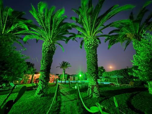 a group of palm trees lit up at night at Zac & Georgio Studios in Amoudara Herakliou