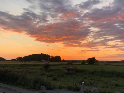 a sunset in a field with a sky with clouds at The Nest bed and garden in Varberg