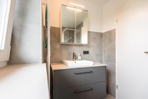 a bathroom with a sink and a mirror at Im Grasweg - Just 7 Minutes From MUC Airport in Neufahrn bei Freising
