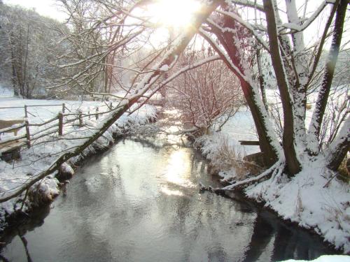 a river with snow on the branches of trees at Ferienwohnungen Holder in Anhausen