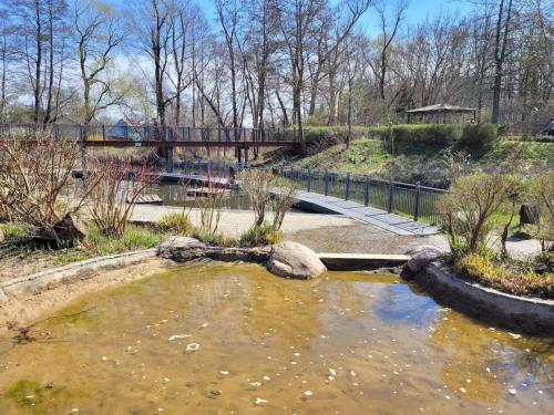 a pond in a park with a bridge in the background at Bungalow in Lübben with a terrace in Lübben