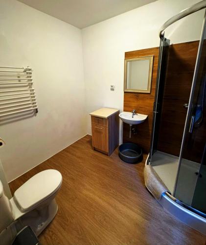 a bathroom with a toilet and a sink and a shower at ahoj PRZYLESIE in Pobierowo