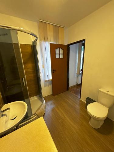 a bathroom with a toilet and a sink at ahoj PRZYLESIE in Pobierowo
