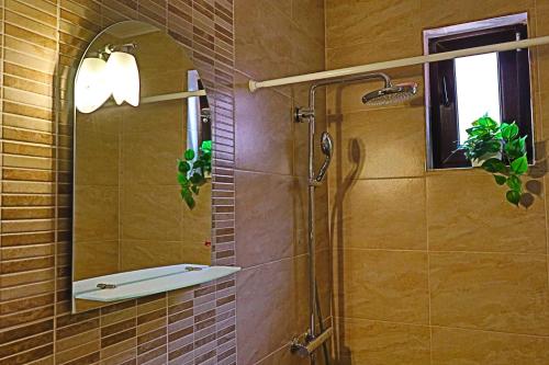 een badkamer met een douche en een spiegel bij Ana's home in Sibiu