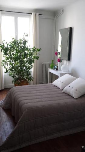 Clarté et charme, chambre spacieuse