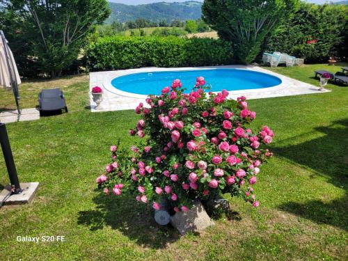 a bush with pink flowers next to a swimming pool at Il Castelletto di Gomo in Godiasco