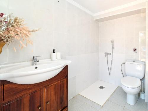 a bathroom with a sink and a toilet at Hevres El Capricho in Málaga