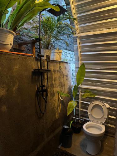 a bathroom with a toilet and plants in it at Laa Cabana Lombok Glamping in Sapit