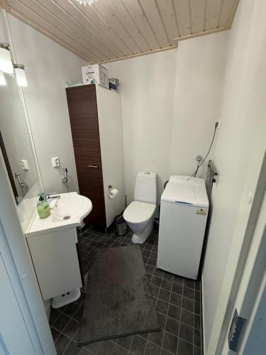 a bathroom with a toilet and a sink at Villa Hile - 8 hengen mökki, rauhallinen sijainti Himoksen ytimessä in Jämsä