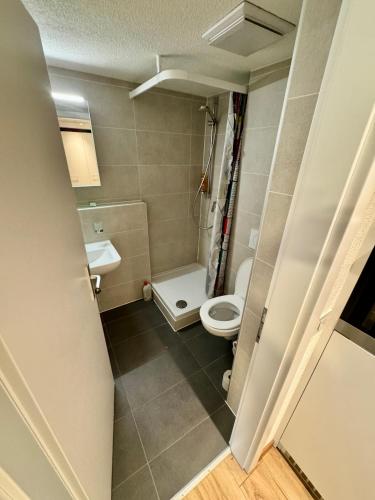 a bathroom with a toilet and a sink at Wohnung Seewen in Schwyz