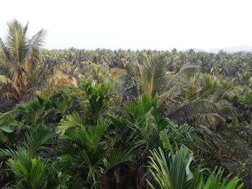 Landskap semula jadi dekat dengan rumah percutian