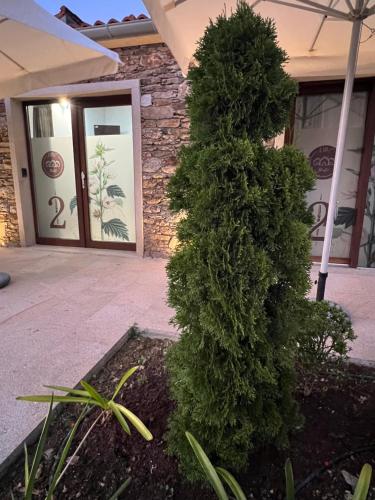 a green bush in front of a building with a door at AMC Boente in Arzúa