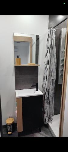 a small bathroom with a sink and a shower at Studio calme climatisé, Wi-Fi, arrivée autonome in Douai