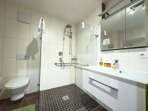 a bathroom with a shower and a toilet and a sink at Alm Loge in Oberstaufen