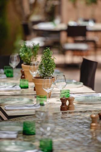 a long table with wine glasses and potted plants at Le mas de l'Ourika, maison d'hôtes in Aït Zat