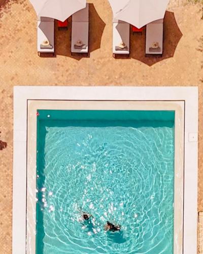 two people in the water in a swimming pool at Le mas de l'Ourika, maison d'hôtes in Aït Zat