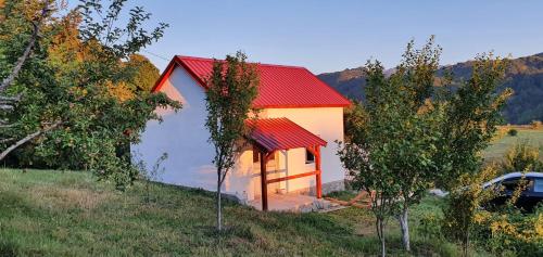 a small house with a red roof on a hill at Village House in Veruša