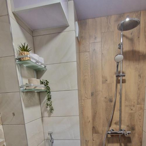 a bathroom with a shower with a shower head at Апартамент Дар in Belogradchik