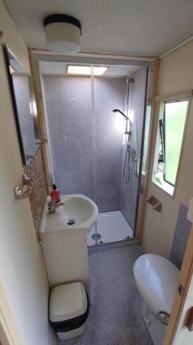 a bathroom with a shower and a sink and a toilet at Domki u Ewy in Wrzosowo