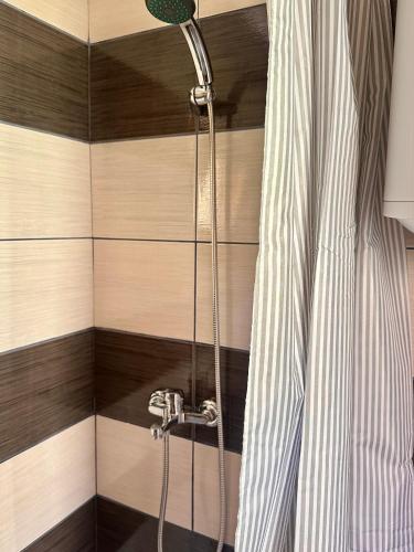 a shower with a shower head and a shower curtain at Oaza Vrbas - Riverside Bungalow in Jajce