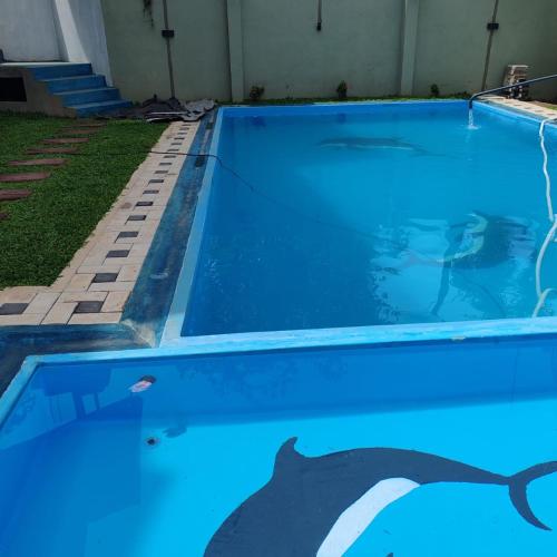 a blue swimming pool with a cat painted on it at Aurora Echo Villa in Matara