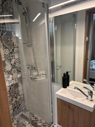 a bathroom with a shower and a sink and a shower at Brigitte Apartments in Sovata