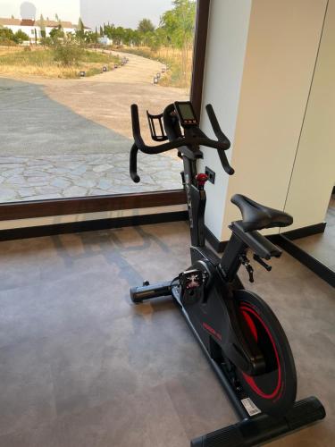 an exercise bike parked in front of a window at Hospes Palacio de Arenales & Spa in Cáceres