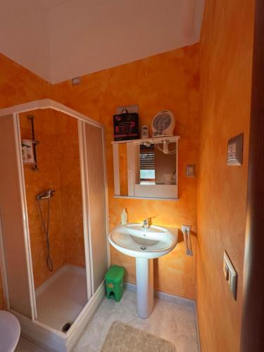 a bathroom with a sink and a shower at L'Oasi in Auletta