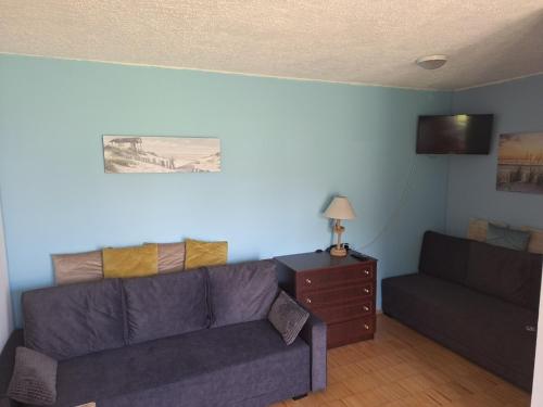 a living room with a couch and a chair at Zefir Leśnica in Dąbki