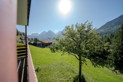a tree on a green field with a house at Marlenca 2 by Arosa Vacations, Familienwohnung mit Bergblick in der Nähe des Skilift-Kulm in Arosa