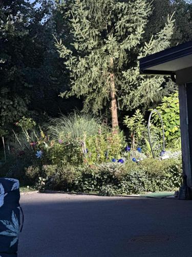 a garden with flowers and trees and a street at SWISS Apartment in Pokoj