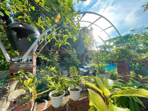 a garden with potted plants in a greenhouse at Ninh Binh Kong's Homestay in Nguyên Ngoại