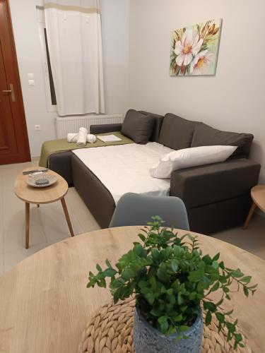 Paeonia Apartment
