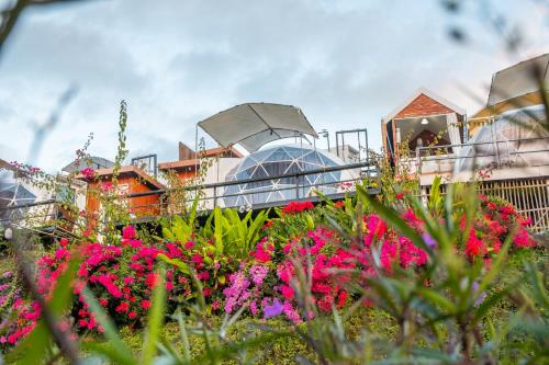 a garden with pink flowers in front of a building at หยดฝน โฮมสเตย์ in Mon Jam