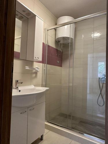 a bathroom with a glass shower and a sink at Apartman 3 Majba in Zaglavice