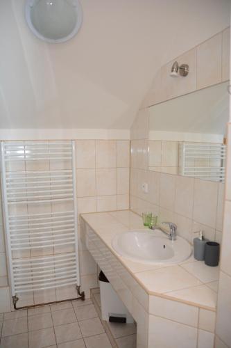 a bathroom with a sink and a mirror at Penzion Čertovy Kameny in Jeseník