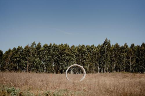 a white hoop in a field with trees in the background at MUMA Hotel - Museo de la Madera in Rivera