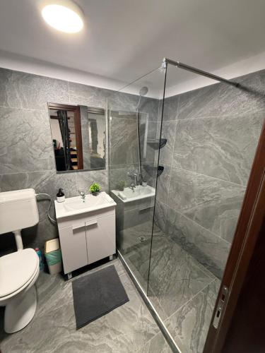 a bathroom with a shower and a toilet and a sink at Jére Lak in Băile Homorod