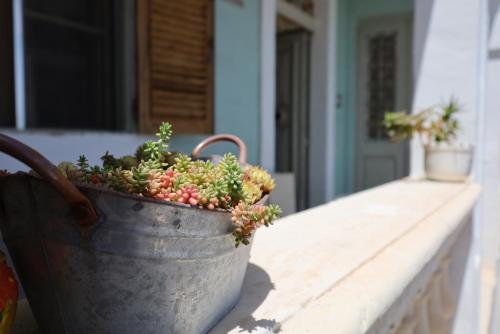 Galería fotográfica de Traditional Maltese Townhouse with Backyard Garden and Seafront Location en Taʼ Monita