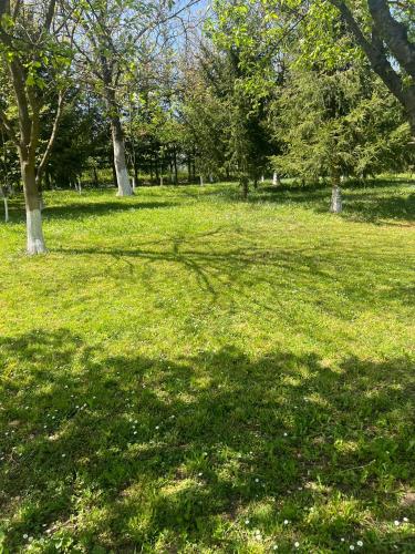 a field of green grass with trees in a park at SWISS Apartment in Pokoj