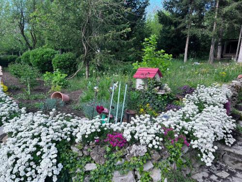 a garden with white and purple flowers in a yard at SWISS Apartment in Pokoj