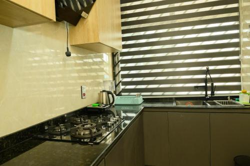 Kuchyň nebo kuchyňský kout v ubytování Terraform Hotel